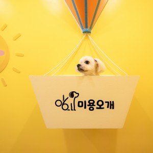 [서울 영등포구] 미용오개 영등포점