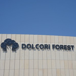 [제주 서귀포시] 제주 돌코리숲