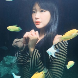 [경북 경주시] 포토랩플러스 황리단길점 촬영권