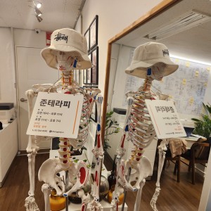 [서울 강남구] 준테라피